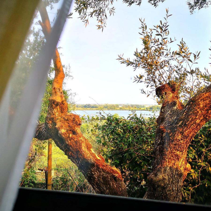 Sul Lago Dorato Terracina Bagian luar foto