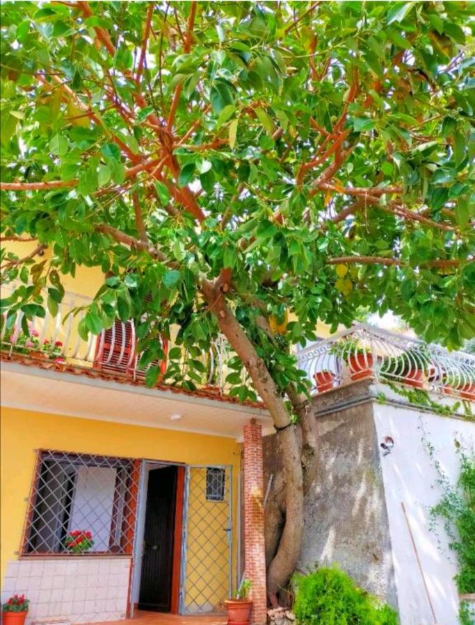 Sul Lago Dorato Terracina Bagian luar foto